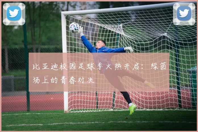 比亚迪校园足球季火热开启：绿茵场上的青春对决