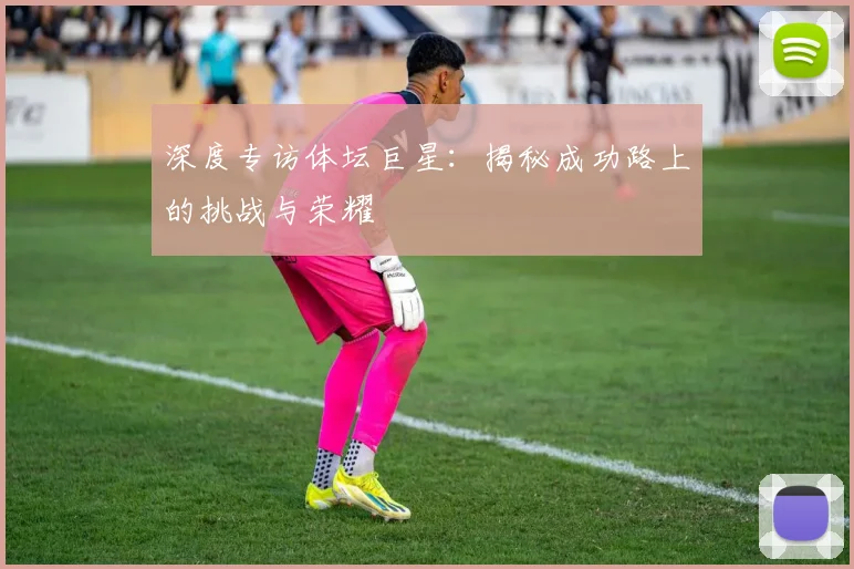 深度专访体坛巨星:揭秘成功路上的挑战与荣耀