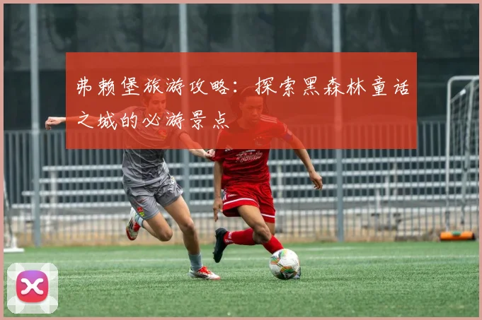 弗赖堡旅游攻略：探索黑森林童话之城的必游景点